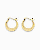 Gold hoop earrings on a white background