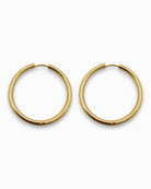 Waterproof 18k Gold hoop earrings on a white background